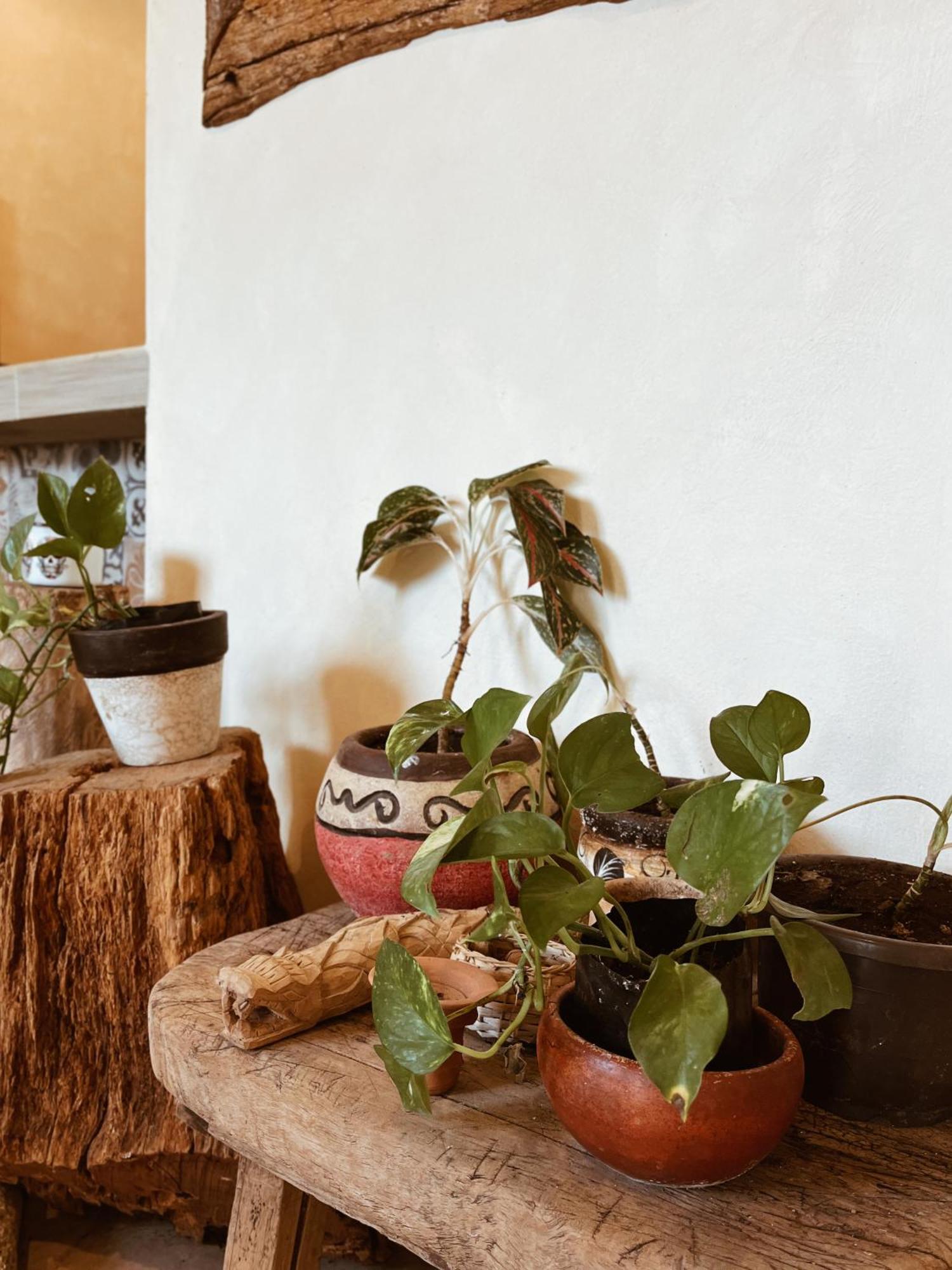 Sisal Loft Living Lejlighed Valladolid  Eksteriør billede
